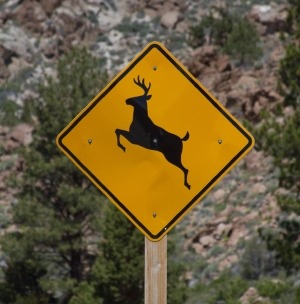 deercrossingsign