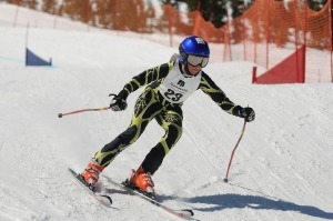 skier