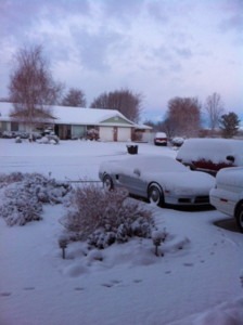 scottsnow
