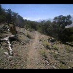 forestrail
