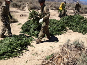 Photos courtesy of Inyo County Sheriff's Dept.