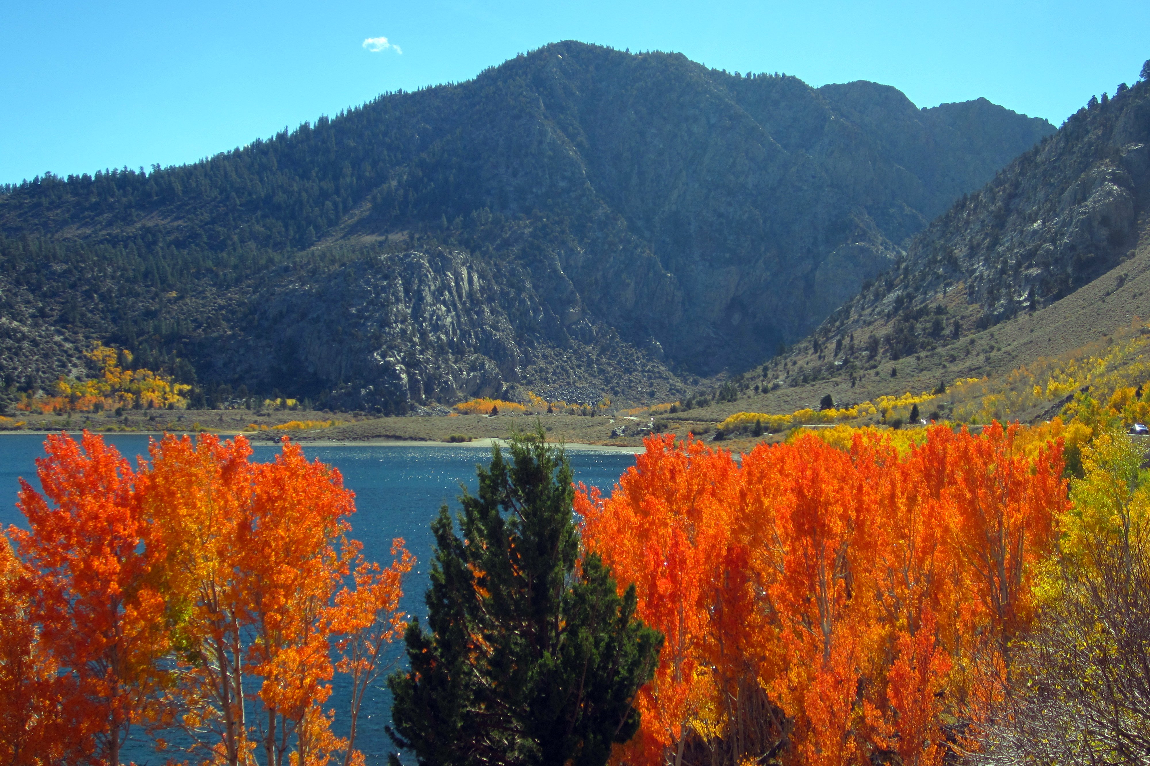 Fall colors abound in the Eastern Sierra - Sierra Wave: Eastern Sierra News